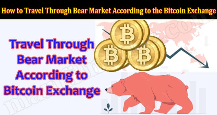 How to Travel Through  Bear Market According to the Bitcoin Exchange