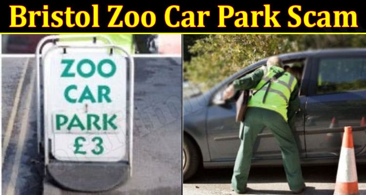 LATEST NEWS Bristol Zoo Car Park Scam