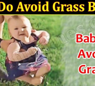 Latest News Why Do Avoid Grass Babies