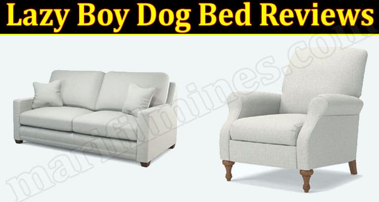 Lazy Boy Dog Bed Online website Reviews