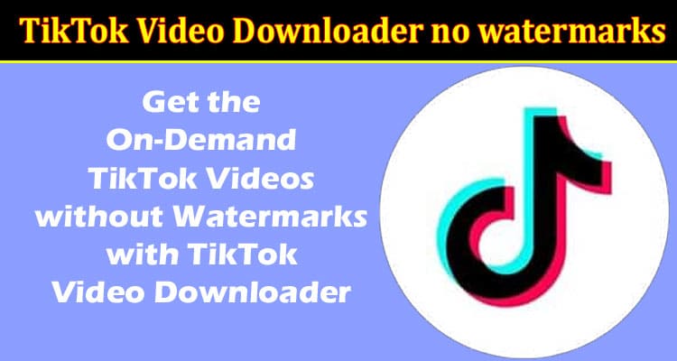 Get the On-Demand TikTok Videos without Watermarks with TikTok Video Downloader