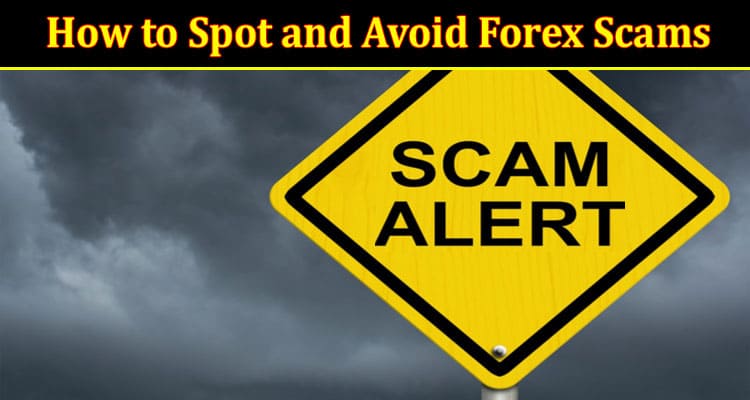 Complete Information How to Spot and Avoid Forex Scams