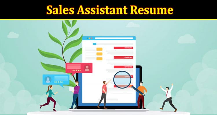The Sales Assistant Resume With Way to Impress Your Employer