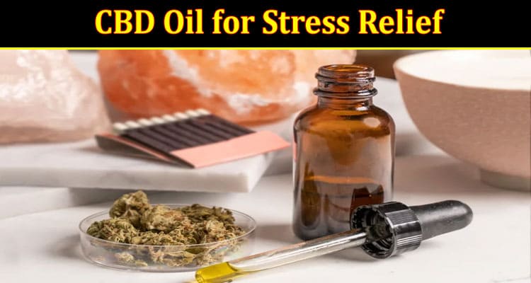 Should You Try CBD Oil for Stress Relief?