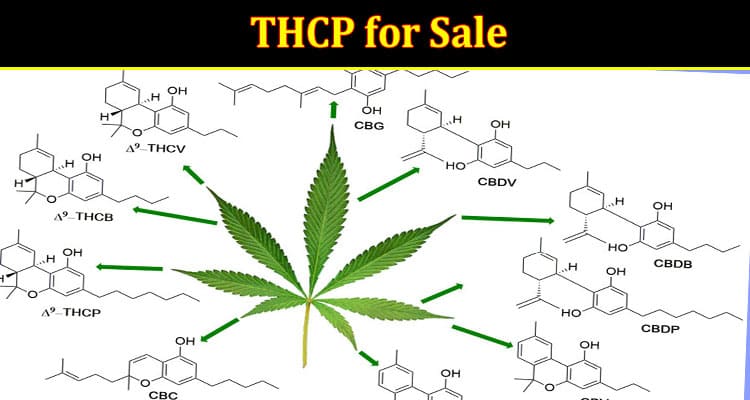 THCP for Sale Buy THC-P Product  At Best Price