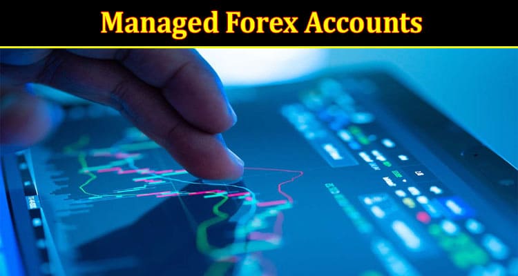 Complete Information About Top 5 Managed Forex Accounts to Consider in 2023