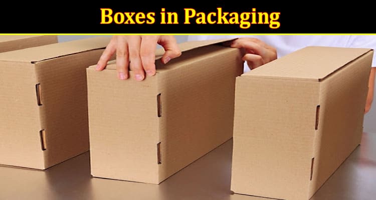 Top 4 Common Types of Boxes in Packaging