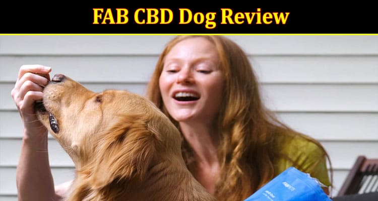 Complete Information About FAB CBD Dog Review - Enhancing Your Pet’s Life One Bite at a Time
