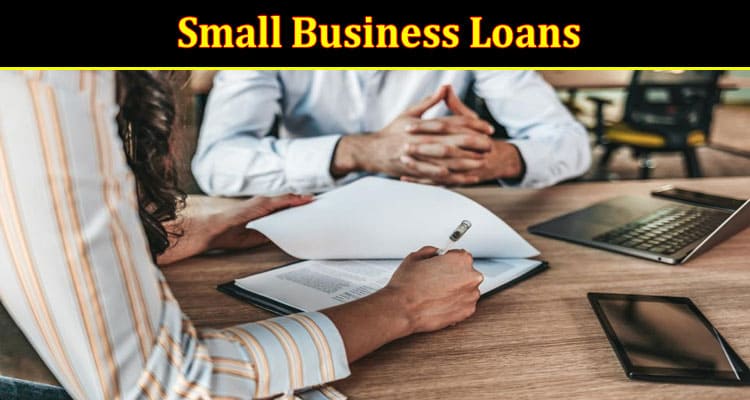 Complete Information About How to Maximize the Potential of Small Business Loans
