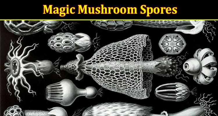Unlocking the Secrets of Magic Mushroom Spores: A Guide