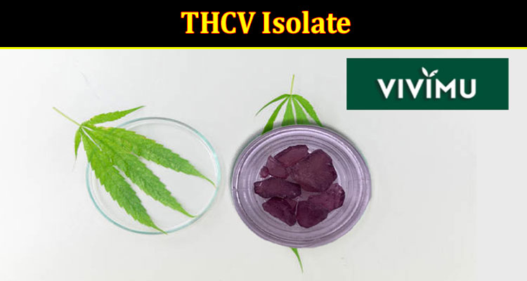 Complete Information About What Is the Best Way to Use THCV Isolate
