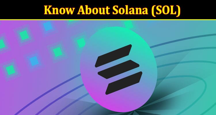 Everything You Need to Know About Solana (SOL)