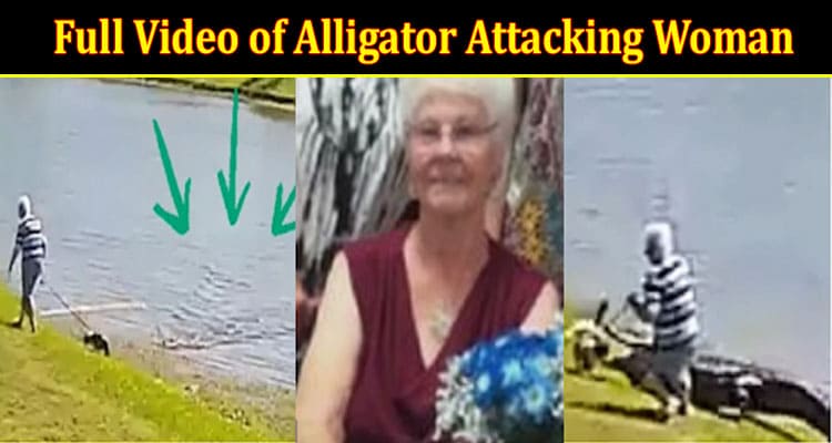 Latest News Full Video of Alligator Attacking Woman