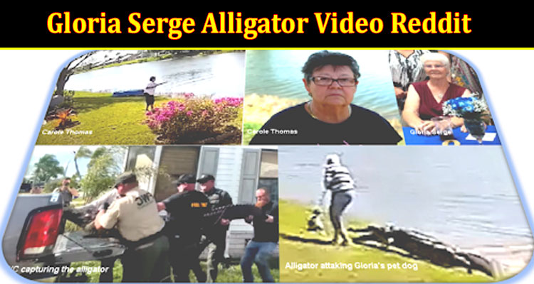 Latest News Gloria Serge Alligator Video Reddit