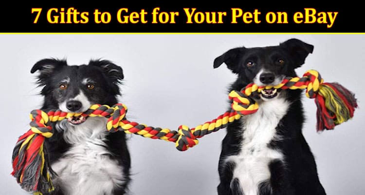 Top 7 Gifts to Get for Your Pet on eBay
