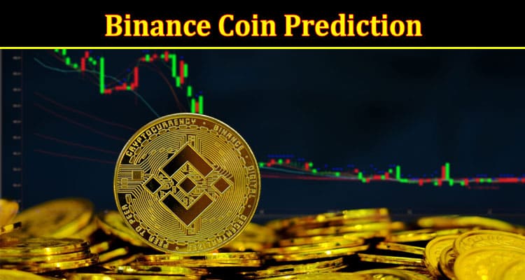 Complete Information About Traders Union Experts Made Detailed Binance Coin Prediction