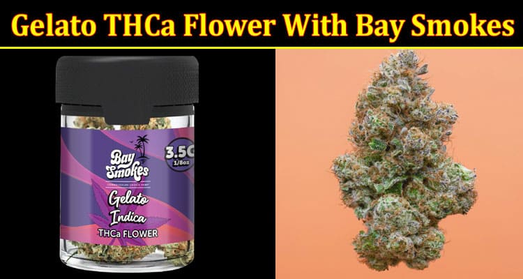 Unpack the Aroma and Flavor of Gelato THCa Flower With Bay Smokes