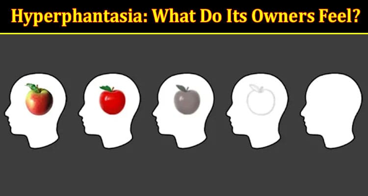 Hyperphantasia What Do Its Owners Feel