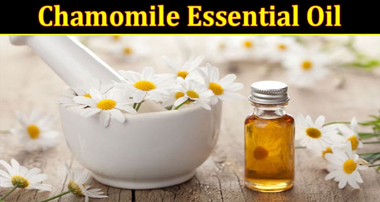 Complete Information About Does Chamomile Essential Oil Help You Sleep Better