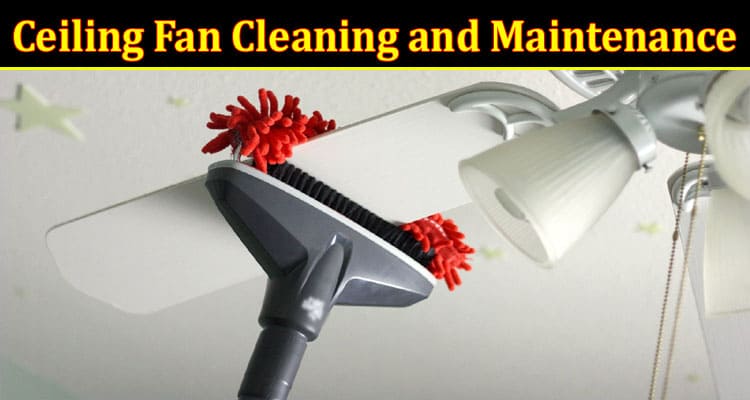 Complete Information About The Complete Guide to Ceiling Fan Cleaning and Maintenance