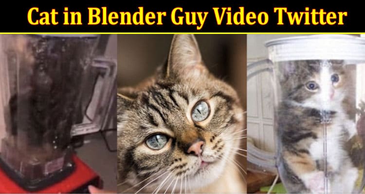 Latest News Cat In Blender Guy Video Twitter