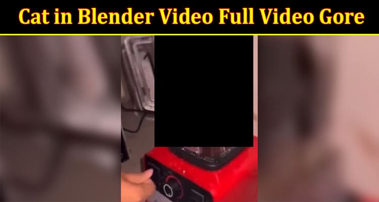Latest News Cat in Blender Video Full Video Gore