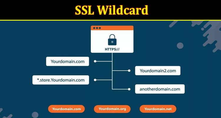 SSL Wildcard What Is It and How Does It Work
