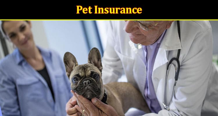 How Pet Insurance Can Ease the Financial Burden of Vet Bills