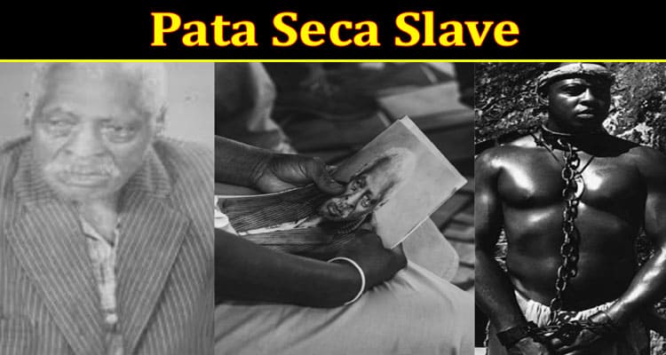 Latest News Pata Seca Slave