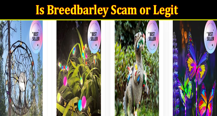 Breedbarley online website reviews