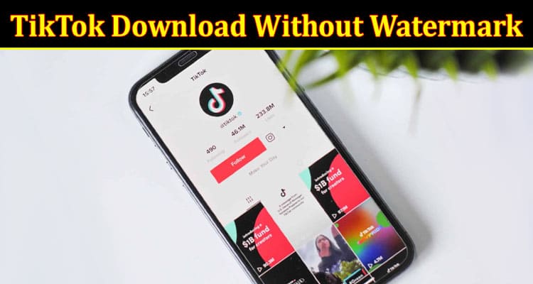 Complete Information About PPPTik - A Quick and Easy Way to TikTok Download Without Watermark