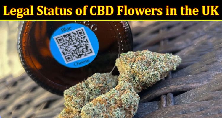 Complete Information About The Legal Status of CBD Flowers in the UK - What You Need to Know