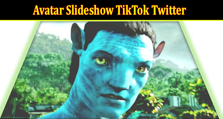 Latest News Avatar Slideshow TikTok Twitter