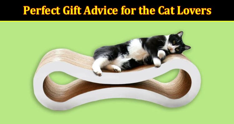 Perfect Gift Advice for the Cat Lovers in Your Life