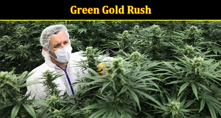 Green Gold Rush: The Economic Impact of Cannabis Legalization in Canada