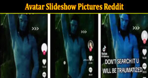 Latest News Avatar Slideshow Pictures Reddit