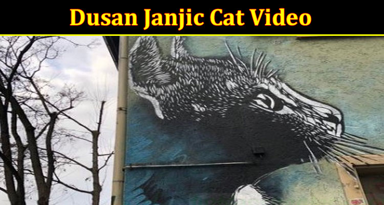 Latest News Dusan Janjic Cat Video