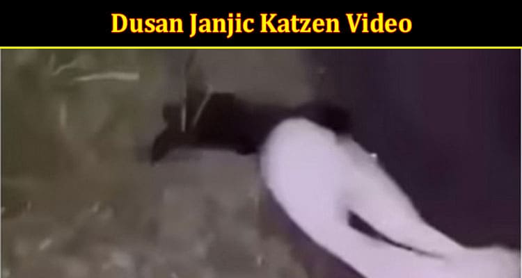 Latest News Dusan Janjic Katzen Video