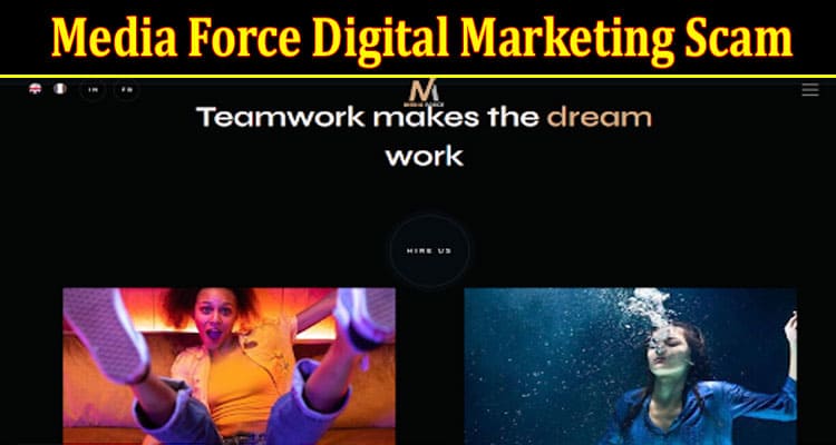 Media Force Digital Marketing Online Website Reviews