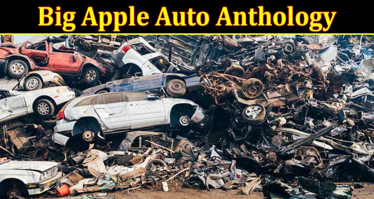 Complete Information About Big Apple Auto Anthology - Driving the Deal in NYC