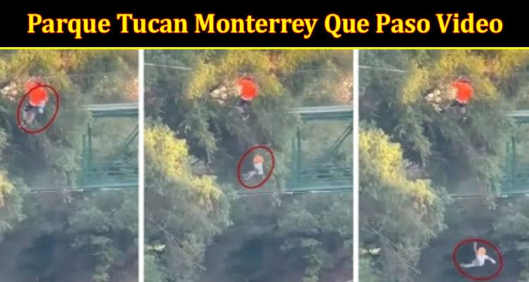 Latest News Parque Tucan Monterrey Que Paso Video