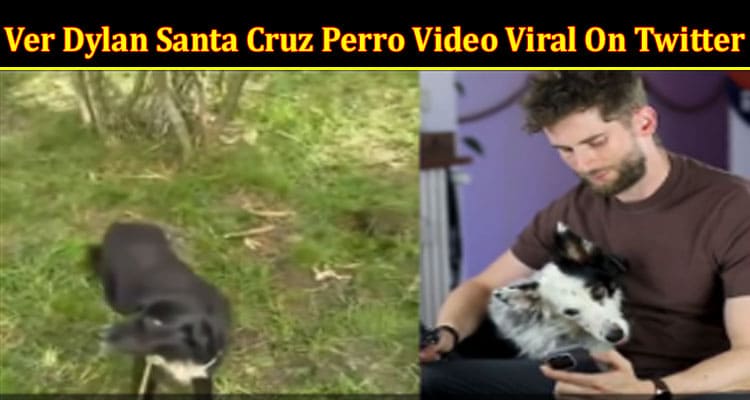 Latest News Ver Dylan Santa Cruz Perro Video Viral On Twitter