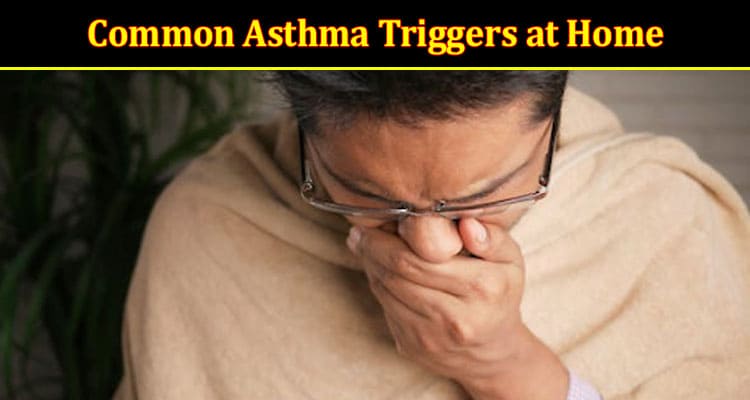 Common Asthma Triggers at Home and How to Reduce Them
