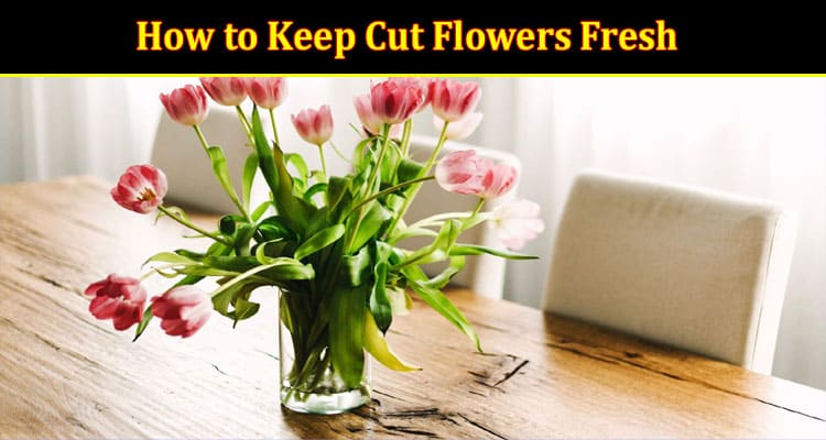How to Keep Cut Flowers Fresh