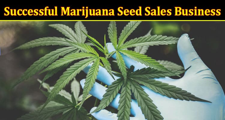 Complete Information About Strategies for Launching and Scaling a Successful Marijuana Seed Sales Business