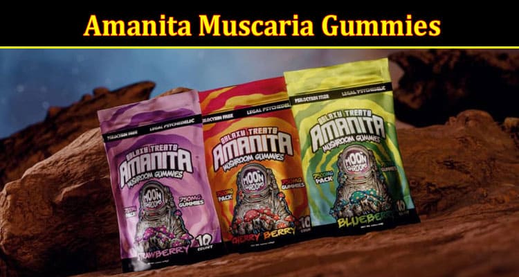 Complete Information About Why Are Amanita Muscaria Gummies Gaining Popularity Among Nature Enthusiasts