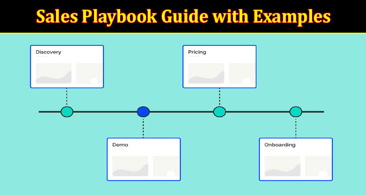 Complete Information Sales Playbook Guide with Examples