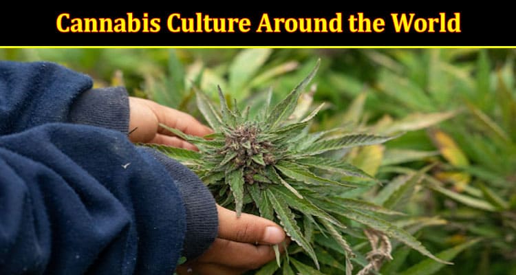 Cannabis Culture Around the World A Global Perspective