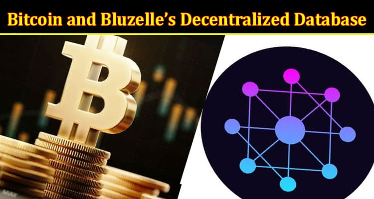 Complete Information About Bitcoin and Bluzelle’s Decentralized Database Solutions