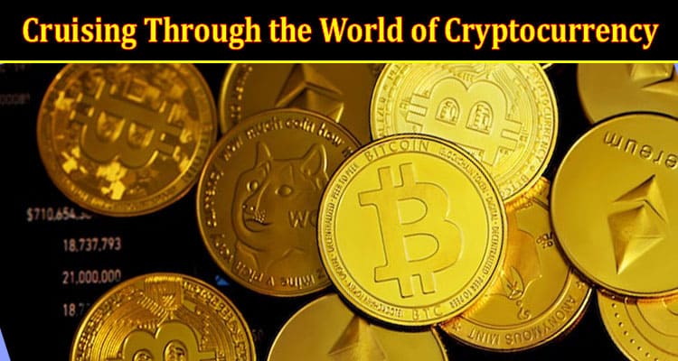 Cruising Through the World of Cryptocurrency Bitcoin Bay Expedition